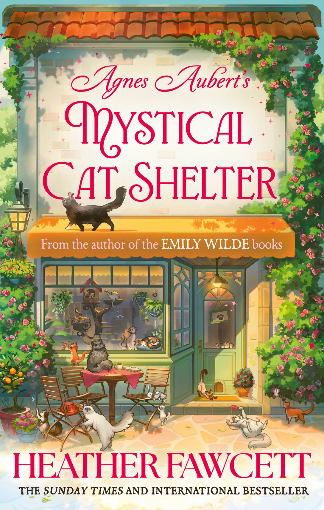 Agnes Aubert's Mystical Cat Shelter by Heather Fawcett