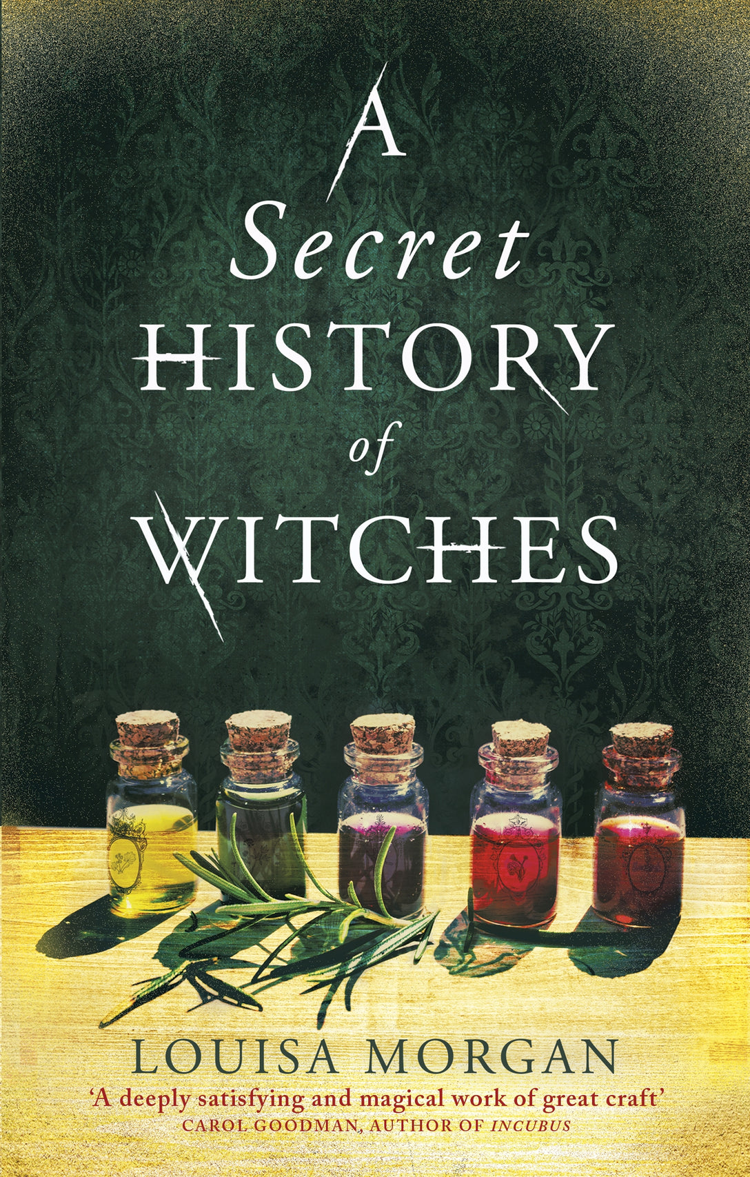 A Secret History of Witches by Louisa Morgan