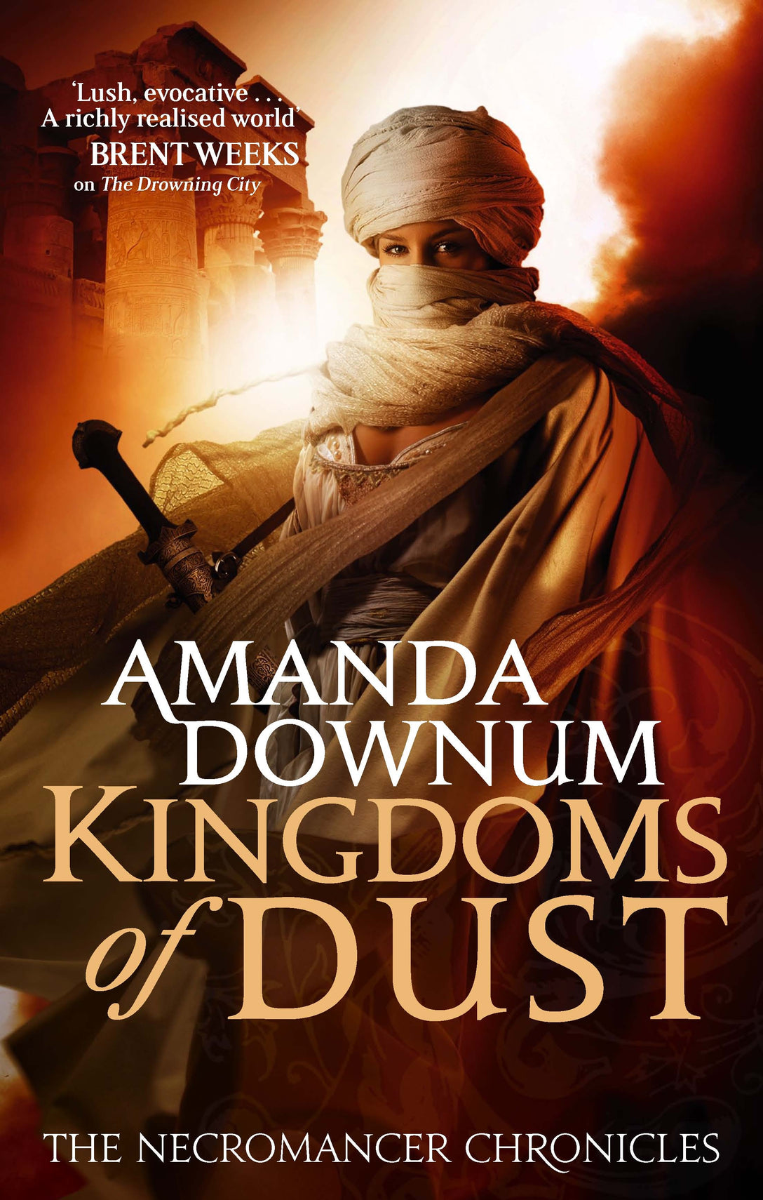 The Kingdoms Of Dust by Amanda Downum