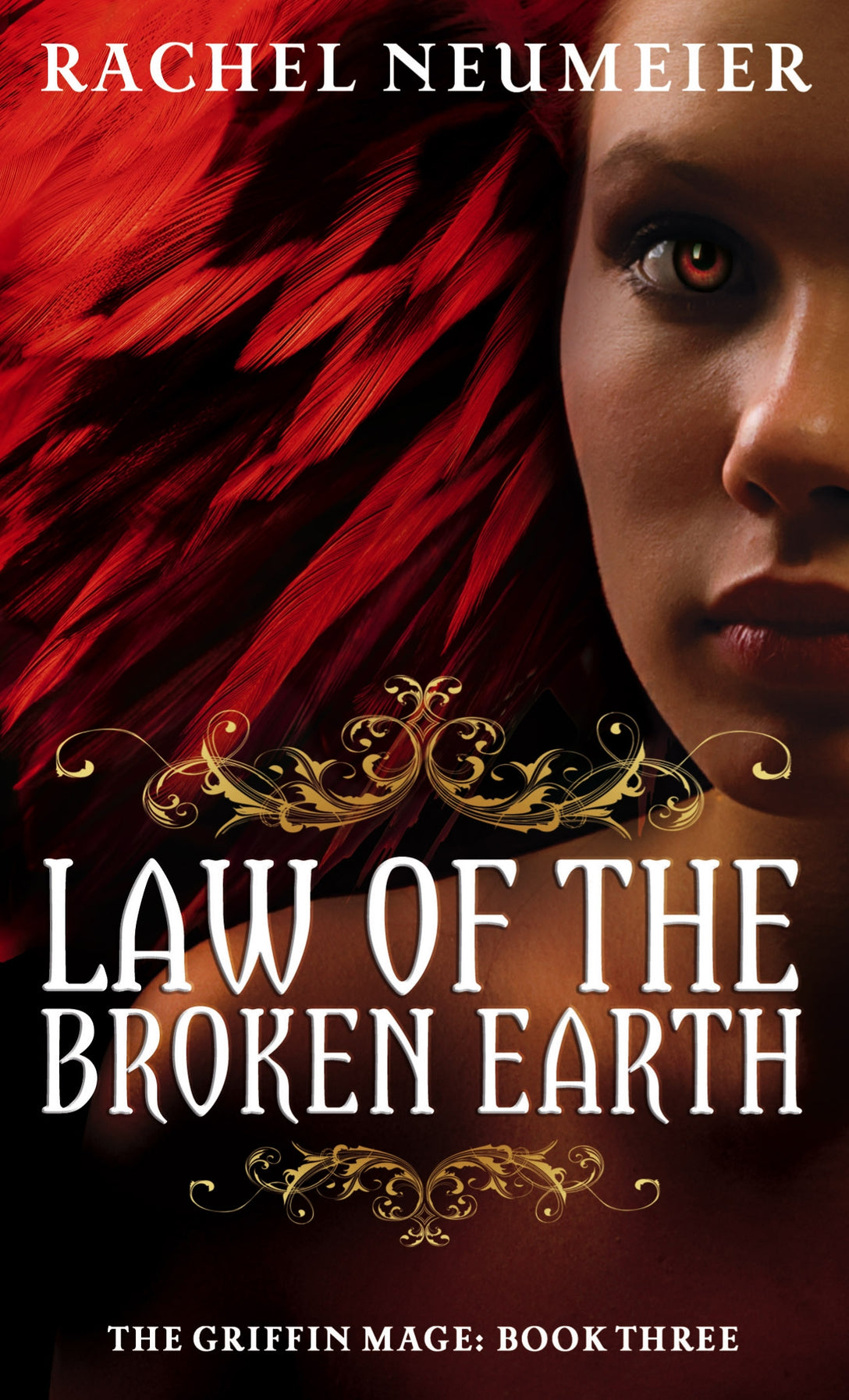 Law Of The Broken Earth by Rachel Neumeier